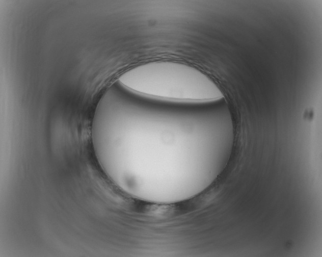 X0000113950135200909251012