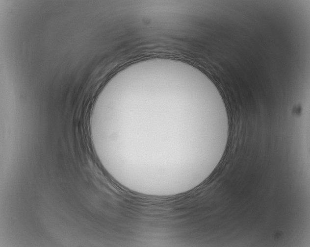 X0000113950137200909251012