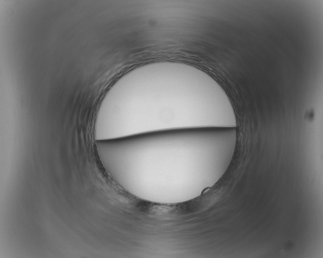 X0000113950139200909251012