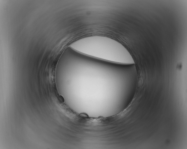 X0000113950140200909251012
