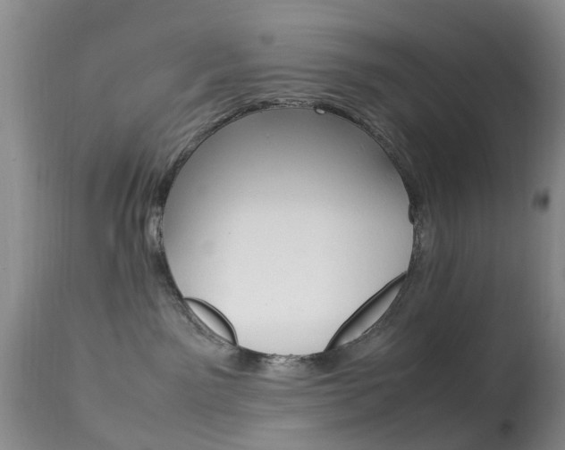 X0000113950141200909251012