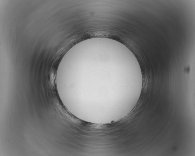 X0000113950142200909251012
