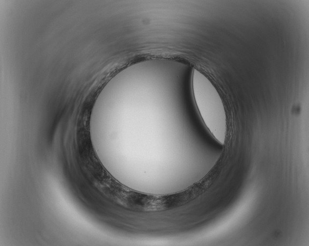 X0000113950143200909251012