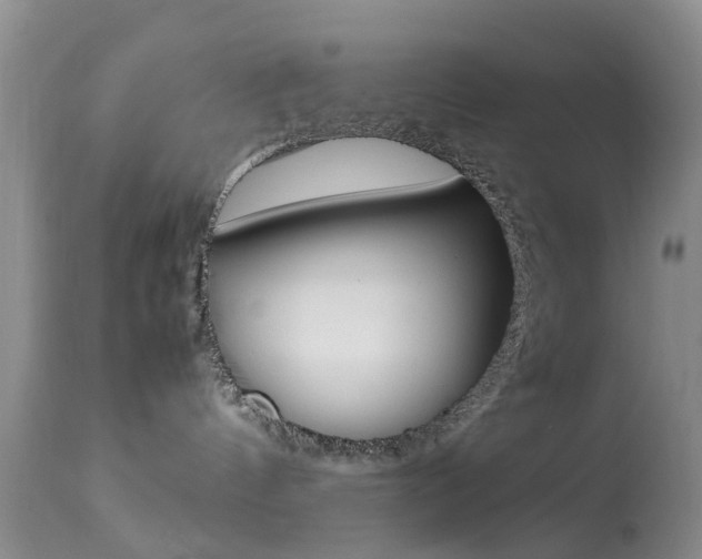 X0000113950144200909251012