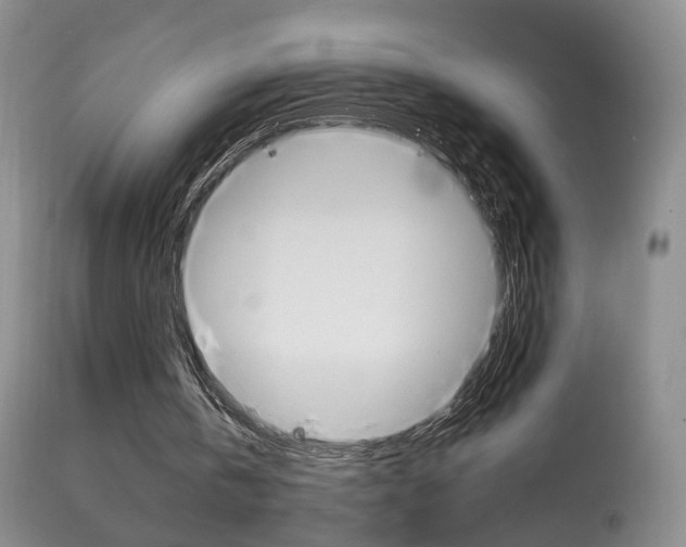 X0000113950146200909251011