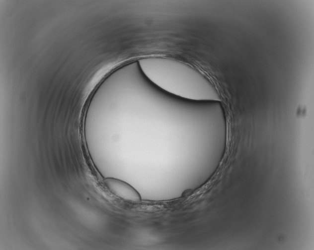 X0000113950147200909251011