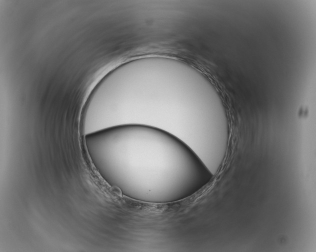 X0000113950148200909251011