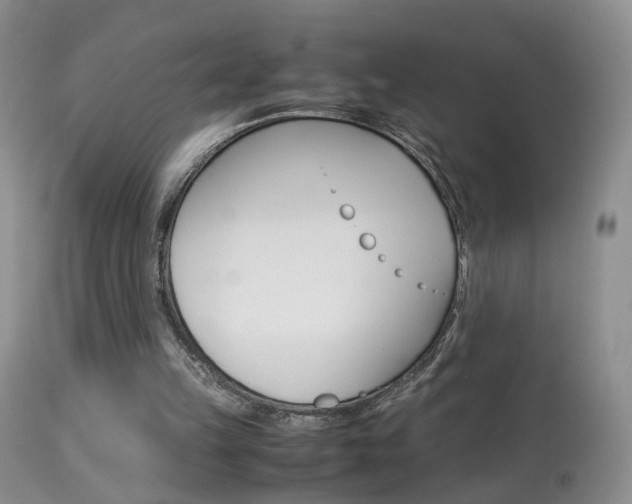 X0000113950149200909251011