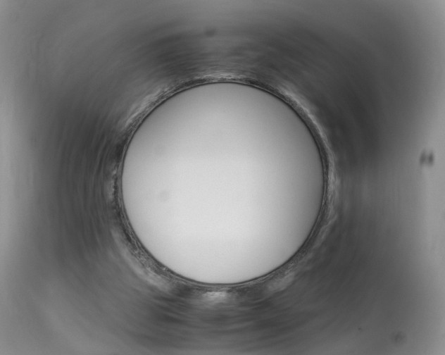 X0000113950153200909251011