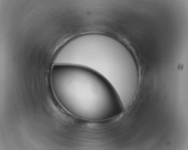 X0000113950154200909251011