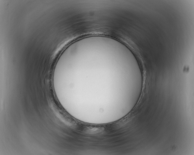 X0000113950155200909251011