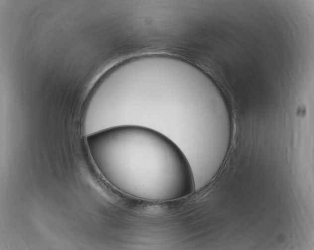 X0000113950156200909251011