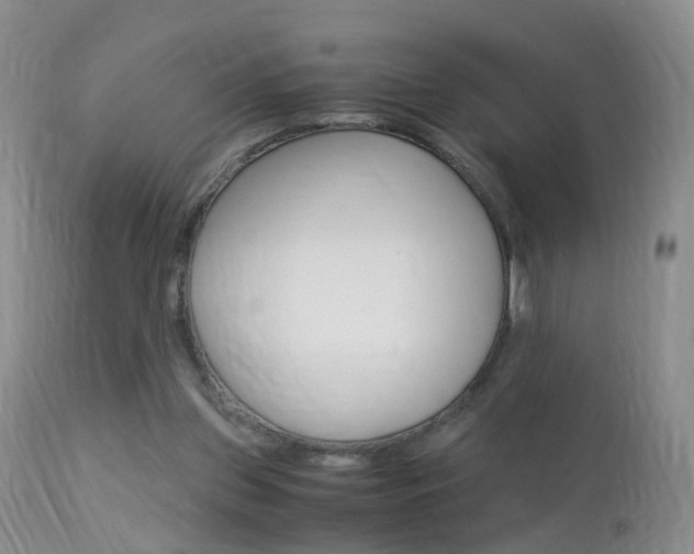 X0000113950157200909251011
