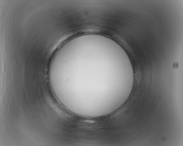X0000113950159200909251011