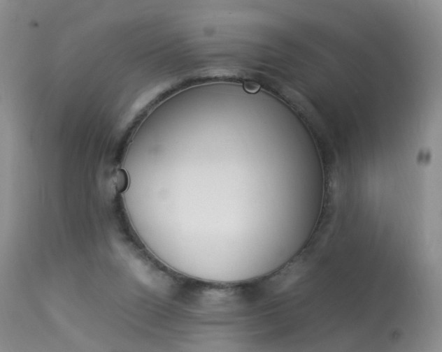 X0000113950160200909251011