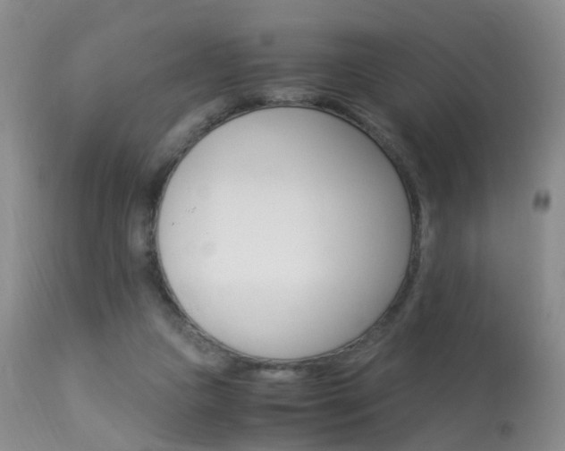 X0000113950161200909251011
