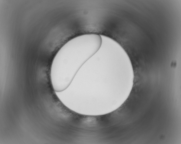 X0000113950162200909251011