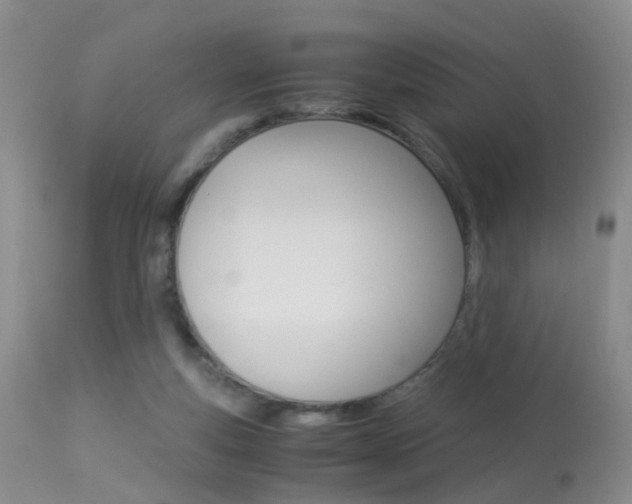 X0000113950163200909251011