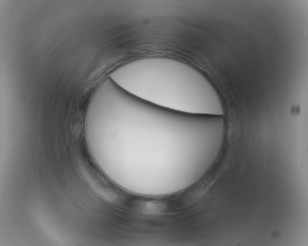 X0000113950165200909251011