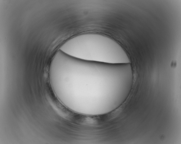 X0000113950166200909251011