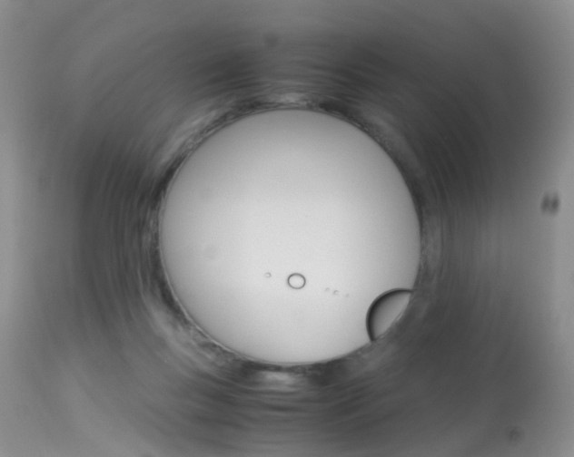 X0000113950167200909251011