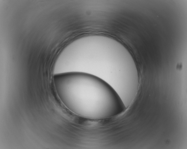 X0000113950170200909251011