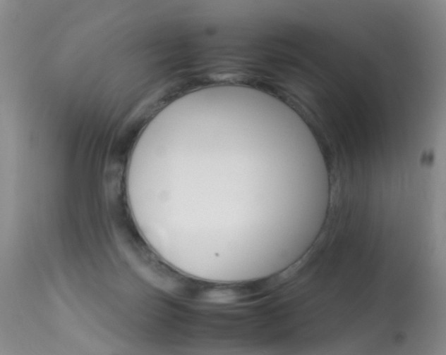 X0000113950171200909251011