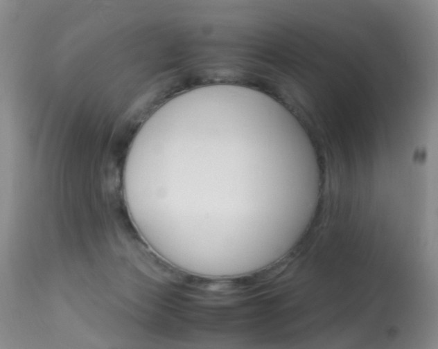 X0000113950173200909251011