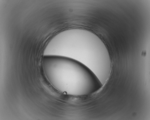 X0000113950174200909251011
