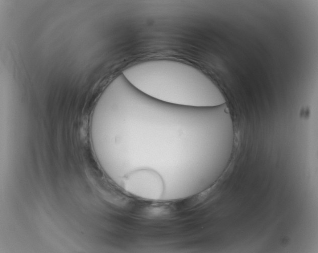 X0000113950175200909251011