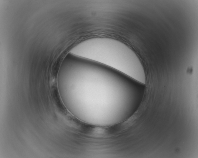 X0000113950176200909251011