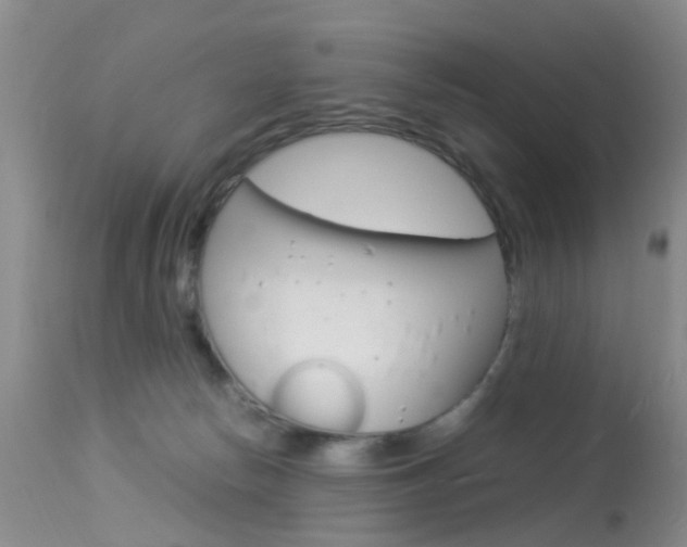 X0000113950178200909251011