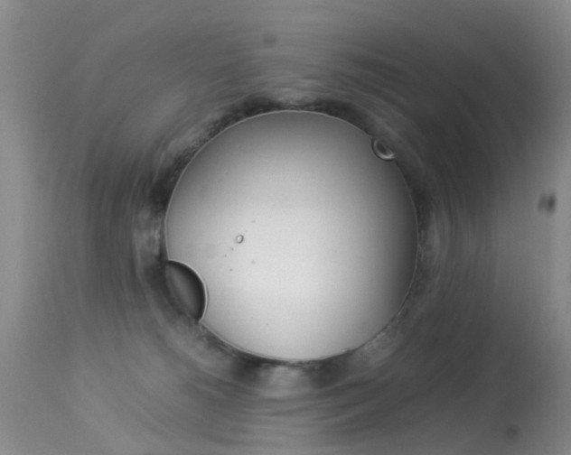 X0000113950180200909251012