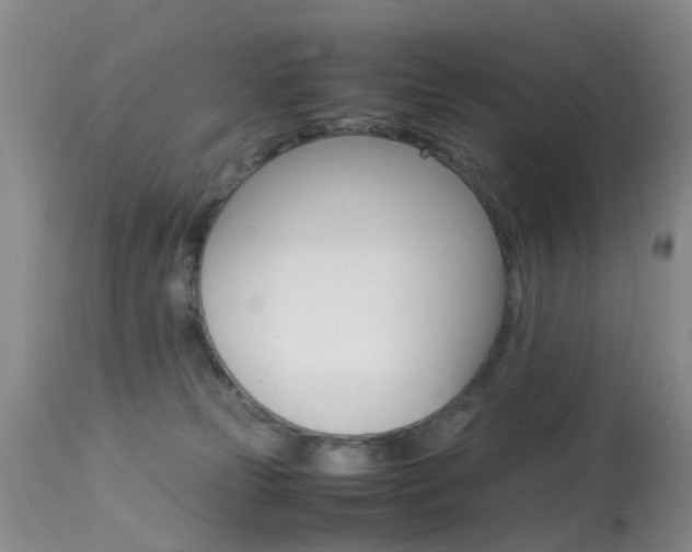 X0000113950181200909251012