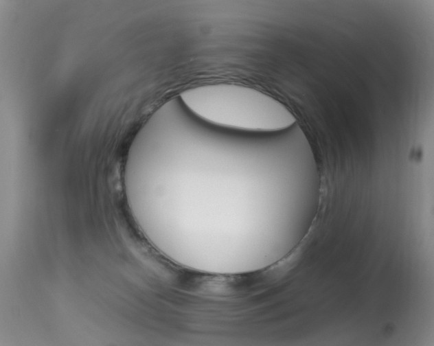 X0000113950182200909251012
