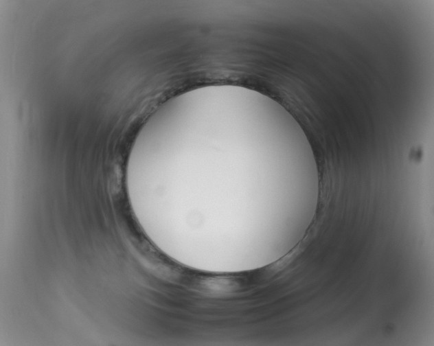 X0000113950183200909251012