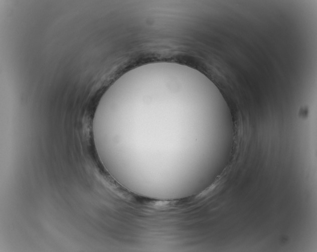 X0000113950184200909251012