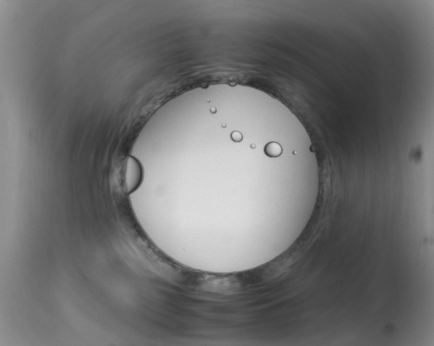 X0000113950185200909251012