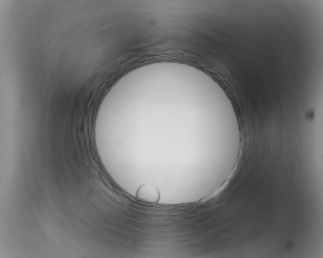 X0000113950186200909251012