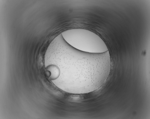 X0000113950187200909251012