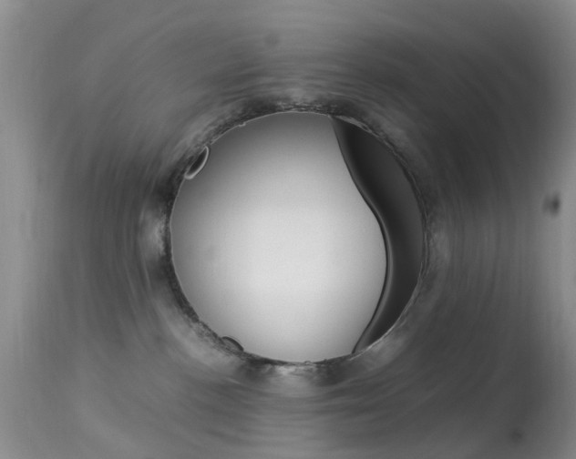X0000113950188200909251012