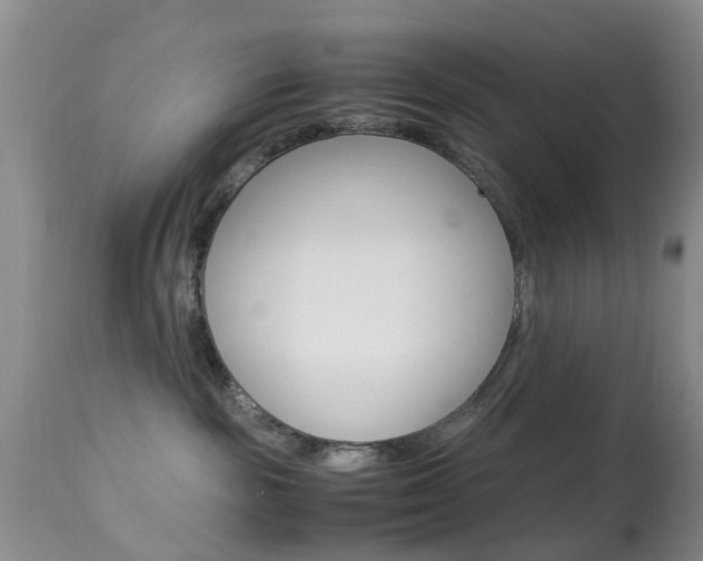 X0000113950189200909251012