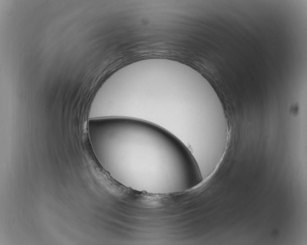 X0000113950190200909251012