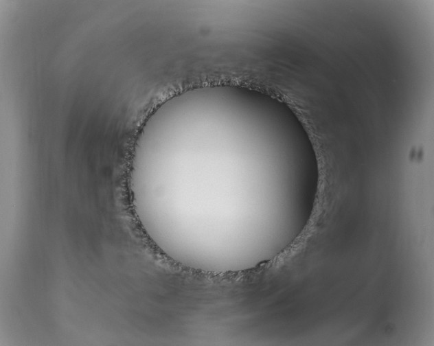 X0000113950192200909251012