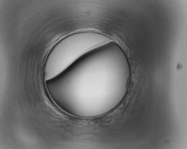 X0000113950193200909251011