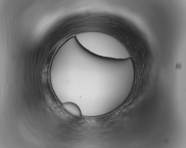 X0000113950194200909251011