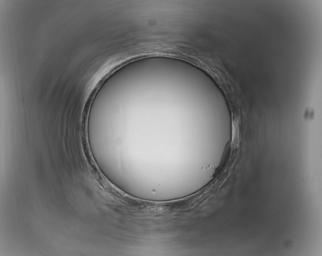X0000113950195200909251011