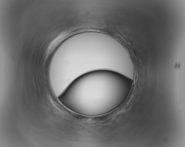 X0000113950197200909251011