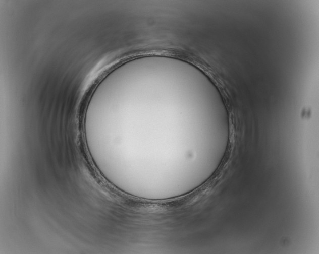 X0000113950198200909251011