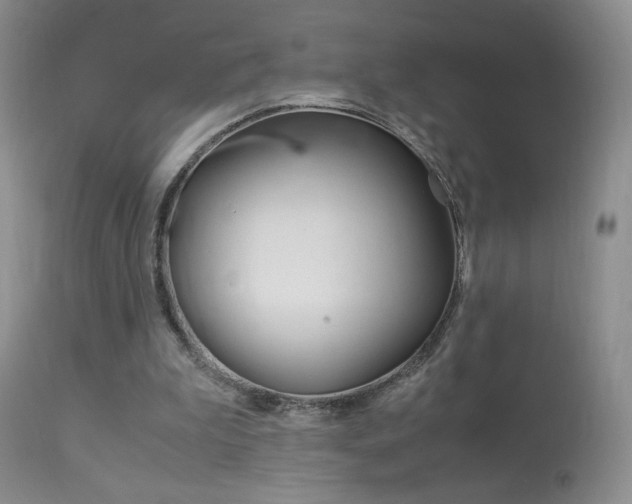 X0000113950199200909251011